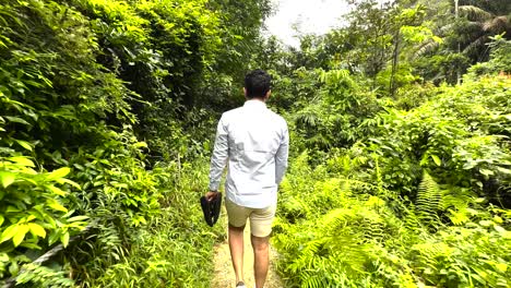 Vista-De-Un-Turista-Masculino-Caminando-En-El-Parque-Natural-De-Windsor-Con-Exuberante-Vegetación-Verde-En-Singapur---Seguimiento