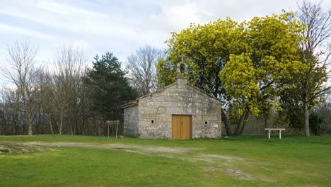 Static-establishing-shot-of-Chapel-of-San-Vitoiro-and-grassy-lawn-with-yellow-tree-blowing-in-wind
