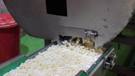 pov-shot-Frying-fries-moving-from-machine-to-convers-on-packaging-line