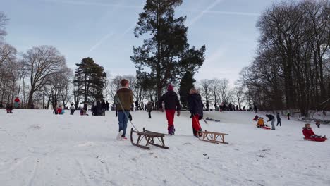 Gente-Disfrutando-De-La-Nieve-En-El-Parque-Woluwe-En-Bruselas,-Bélgica-Durante-El-Invierno