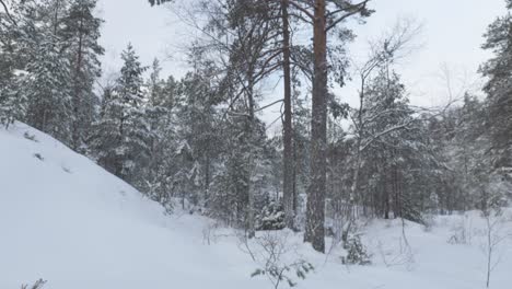 Campfire-On-A-Frigid-Snow-Covered-Forest-During-Winter