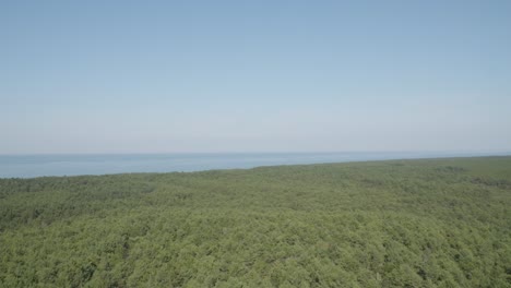 Una-Vista-Panorámica-Desde-Lo-Alto-Del-Faro-De-Stilo,-Con-Vistas-Al-Frondoso-Bosque-Verde-Y-Al-Mar,-Fusionando-La-Belleza-De-La-Naturaleza-Con-El-Paisaje-Marítimo