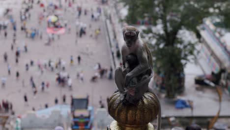 Mono-Bebé-Amamantando-A-Su-Madre-Macaco-Con-Un-Telón-De-Fondo-De-Cuevas-De-Batu