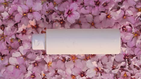 Cosmetic-packaging-on-a-background-of-pink-almond-blossoms,-water-wave-effect