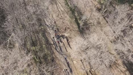 Rotating-drone-shot-of-people-in-a-forest-moving-trees-of-the-ground