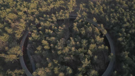 Rundwanderweg-Zu-Den-Baumwipfeln-Des-Waldgebiets,-Luftaufnahme