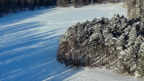 A-group-of-people-standing-in-a-snowy-field,-next-to-a-line-of-pine-trees