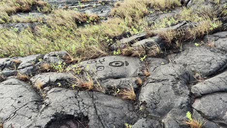Wide-shot-of-lava-rock-carvings-in-Hawaii's-Volcanoes-National-Park