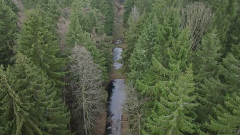 Aerial-bird's-eye-view-of-a-stream-flowing-through-a-forest
