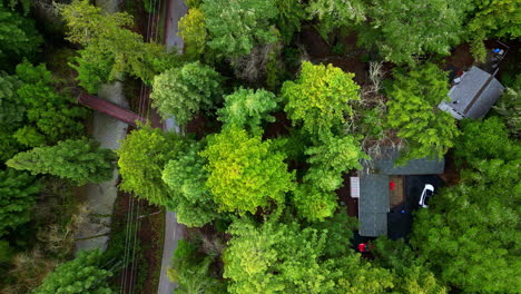 Above-View-Of-An-Architecture-Surrounded-With-Tall-Dense-Trees