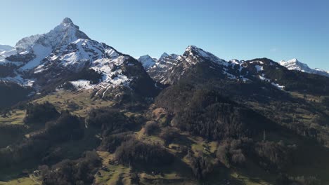 Amden-Weesen-Switzerland-plush-healthy-forest-and-mountains-in-the-alps-golden-hour