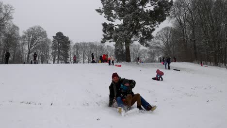 Individuals-Delighting-in-Snow-Activities-at-Woluwe-Park-in-Brussels,-Belgium---Timelapse-Panning-Shot
