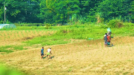 Bauern-Pflanzen-Gemüsesetzlinge-Auf-Ackerland-In-Bangladesch