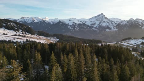 Amden-Weesen-Switzerland-evergreen-forest-with-snow-peak-mountains-in-the-background