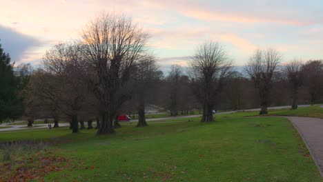 Walking-along-the-trees-and-green-lawns-in-Lyme-park-in-Disley,-Cheshire