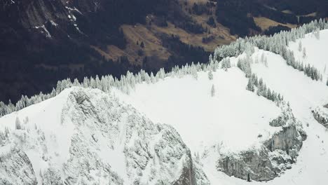 Pine-trees-grow-on-the-snow-covered-crest-of-the-mountain-ridge-in-the-Austrian-Alps