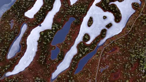 Frozen-pond,-surrounded-by-brown-and-green-trees-and-shrubs,-from-an-aerial-view
