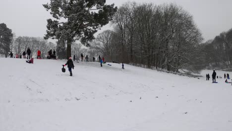 People-Delighting-in-Snowy-Fun-at-Woluwe-Park,-Brussels,-Belgium---Timelapse