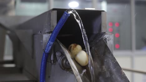 POV-Shot:-Kartoffeln-Werden-In-Sauberem-Wasser-Gewaschen,-Wenn-Sie-Aus-Der-Maschine-Kommen