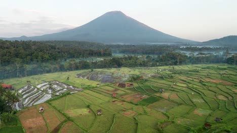 Reverse-drone-shot-of-beautiful-rice-terraces-and-morning-mist-with-Mount-Agung-volcano,-Bali,-Indonesia