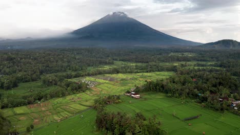 Espectacular-Vista-Aérea-Del-Monte-Agung-Con-Pico-Nublado-Y-Exuberantes-Campos-De-Arroz-Verdes,-Bali,-Indonesia