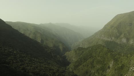 Vista-De-Pájaros-De-Una-Montaña-Y-Un-Bosque