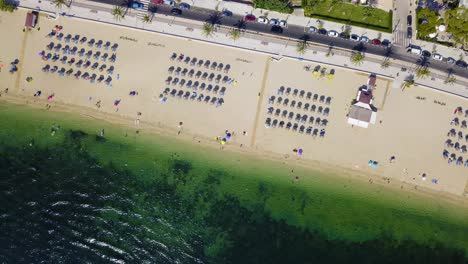 Playa-del-port-de-pollenca-with-beachgoers-and-parasols,-on-the-island-of-Mallorca,-Spain,-in-the-Mediterranean-Sea,-daylight,-aerial-view