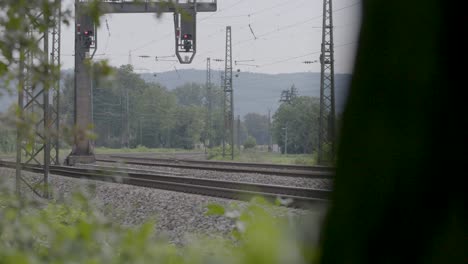 Gelb-weißer-Zug-Fährt-Auf-Gleisen-Vorbei,-Im-Vordergrund-Grünes-Laub,-Bewölktes-Wetter