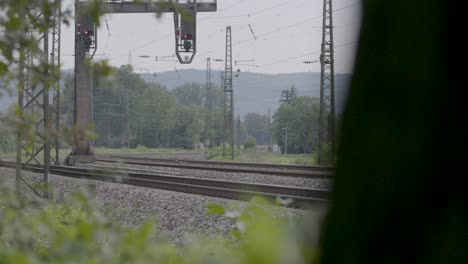 Yellow-and-white-train-passing-by-on-tracks-with-green-foliage-in-foreground,-overcast-weather