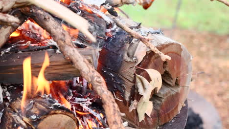 Gooey-marshmallow-almost-burning-drips-in-slow-motion-by-the-rising-flames-and-smoke-to-add-black-char