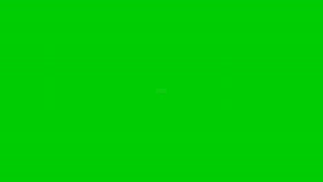 Sold-text-animation-motion-graphics-on-white-box-on-green-screen-for-flash-sales,black-Friday,-shopping-or-discount-projects-business-concept