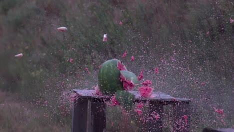 Explosión-De-Sandía-Morion-Super-Lento