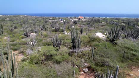 aerial-flight-over-cactus-approaching-the-alto-vista-chapel-in-aruba