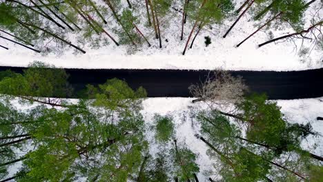 Aerial-view-of-a-snow-covered-forest-with-a-winding-road-snaking-through-it