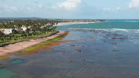 Aerial-view-of-the-beach,-waves-and-a-large-green-area-with-palm-trees,-a-person-practing-kite-surf-and-the-city-at-background,-Guarajuba,-Bahia,-Brazil