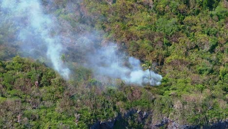 Incendio-Forestal-En-El-Parque-Nacional-Cabo-Cabrón-Durante-El-Día-Soleado