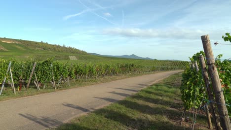 Carretera-Que-Conduce-A-Las-Afueras-De-Hunawihr,-En-El-Este-De-Francia.