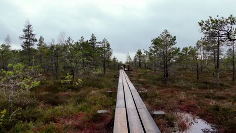 Paseo-Marítimo-De-Madera-Que-Serpentea-A-Través-De-Un-Pantano,-Con-Altos-árboles-Verdes-Y-Un-Cielo-Nublado-En-El-Fondo