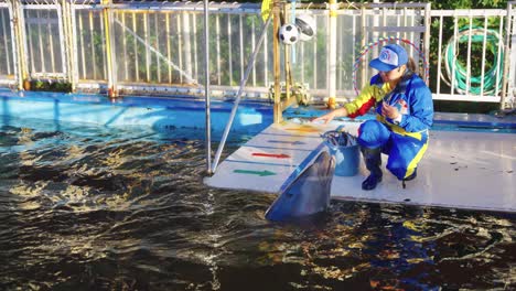 Delfintrainer-Bringt-Delfinen-Tricks-Bei-Und-Füttert-Sie-Mit-Fisch-Als-Belohnung