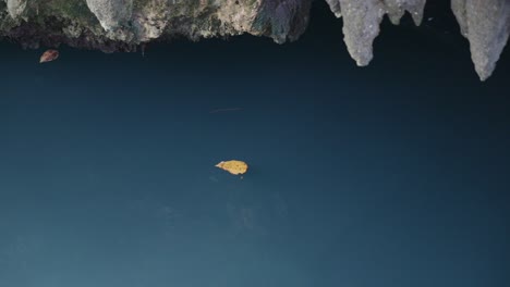 Single-yellow-leaf-floating-on-serene-water,-cliff-edges-frame-the-shot,-Philippines,-tranquil-scene