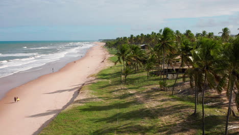 Aerial-view-of-the-Imbassai-beach-and-a-large-green-area-of-palm-trees,-Imbassai,-Bahia,-Brazil