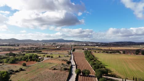 Mallorca's-lush-countryside-with-farms-and-a-clear-sky,-daylight,-aerial-view