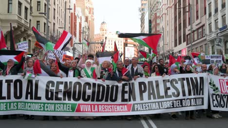 Demonstranten-Versammeln-Sich,-Halten-Ein-Banner-Hoch-Und-Schwenken-Palästinensische-Flaggen-In-Solidarität-Mit-Palästina