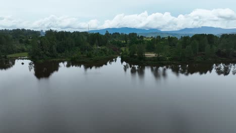 Bosque-De-Verde-Reflejado-Por-Las-Aguas-Tranquilas-Del-Lago