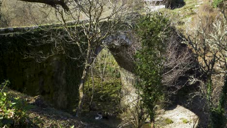 In-line-view-of-old-Roman-Navea-bridge-covered-in-moss-and-vines