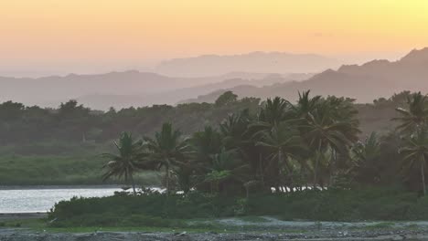 Paralaje-Aéreo-Alrededor-De-Palmeras-Tropicales-En-La-Península-De-La-Playa-Con-Rayos-De-Sol-Iridiscentes-Y-Brillantes