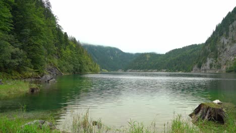 Viejos-Troncos-De-árboles-Hundidos-En-El-Lago-Gosausee