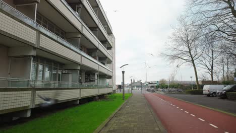 Los-Pájaros-Vuelan-Lejos-Del-Edificio-De-Apartamentos-En-El-Puerto-De-Ámsterdam-Noord-Vogelbuurt.