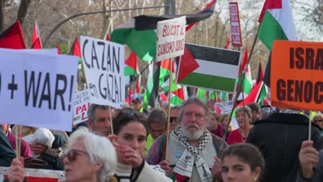Protesters-rally-while-holding-placards-and-Palestine-flags-in-solidarity-with-Palestine