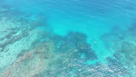 Clear-turquoise-water-revealing-underwater-reef-rocks